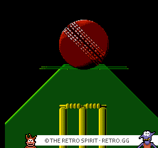 Game screenshot of International Cricket
