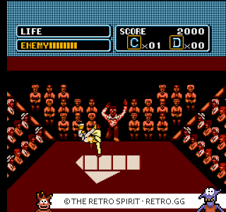 Game screenshot of The Karate Kid