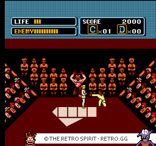 Game screenshot of The Karate Kid