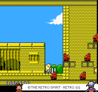 Game screenshot of Kiwi Kraze: A Bird-Brained Adventure!