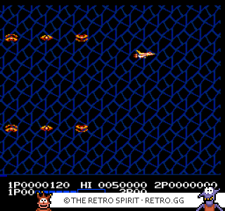 Game screenshot of Life Force Salamander