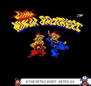 Game screenshot of Little Ninja Brothers