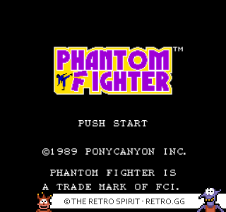 Game screenshot of Phantom Fighter