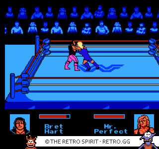 Game screenshot of WWF King of the Ring