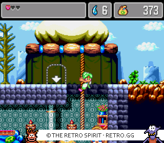 Game screenshot of Monster World IV