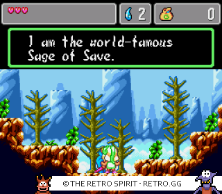 Game screenshot of Monster World IV
