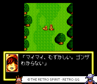 Game screenshot of Burai: Hachigyoku no Yuushi Densetsu