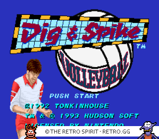 Game screenshot of Dig & Spike Volleyball
