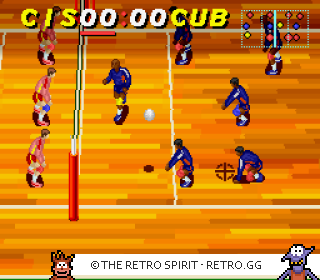 Game screenshot of Dig & Spike Volleyball