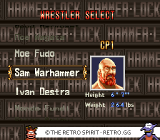 Game screenshot of HammerLock Wrestling
