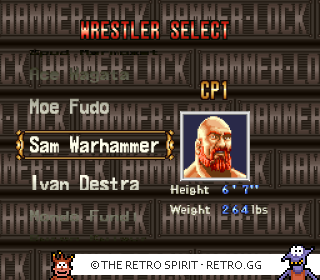 Game screenshot of HammerLock Wrestling