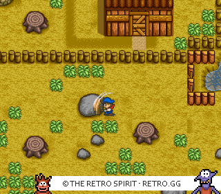 Game screenshot of Harvest Moon
