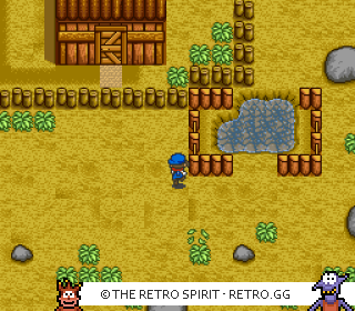 Game screenshot of Harvest Moon