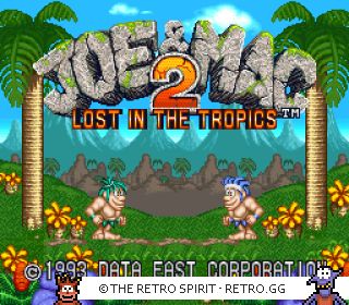 Game screenshot of Joe & Mac 2: Lost in the Tropics