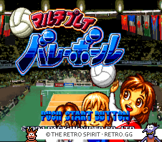 Game screenshot of Multi Play Volleyball