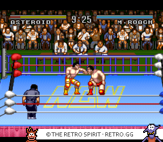 Game screenshot of Natsume Championship Wrestling