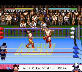 Game screenshot of Natsume Championship Wrestling