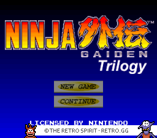 Game screenshot of Ninja Gaiden Trilogy