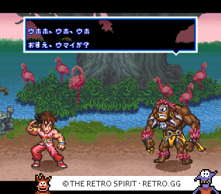 Game screenshot of SD Hiryuu no Ken