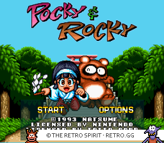 Game screenshot of Pocky & Rocky