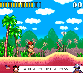 Game screenshot of Super Adventure Island