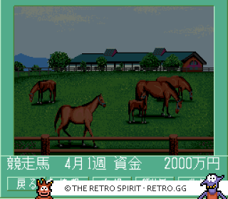 Game screenshot of Super Keiba