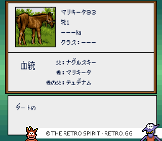 Game screenshot of Thoroughbred Breeder