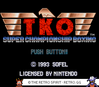 Game screenshot of TKO Super Championship Boxing