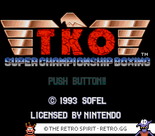 Game screenshot of TKO Super Championship Boxing