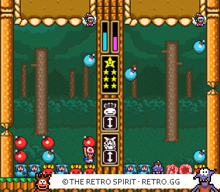 Game screenshot of Wario's Woods