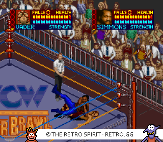 Game screenshot of WCW SuperBrawl Wrestling