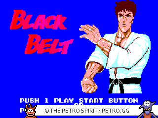 Game screenshot of Black Belt