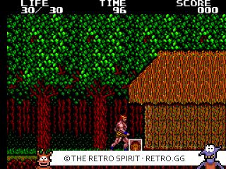 Game screenshot of Danan: The Jungle Fighter