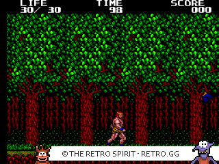 Game screenshot of Danan: The Jungle Fighter