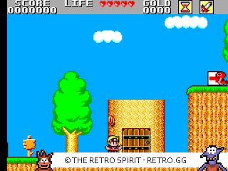 Game screenshot of Wonder Boy in Monster Land