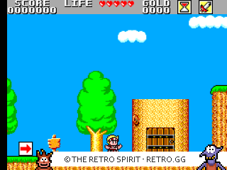 Game screenshot of Wonder Boy in Monster Land
