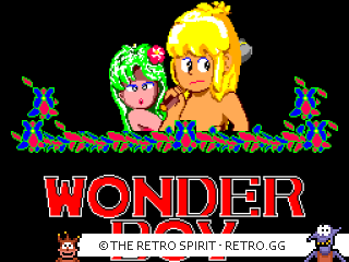 Game screenshot of Wonder Boy