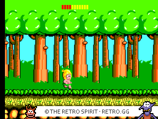 Game screenshot of Wonder Boy
