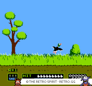 Game screenshot of Duck Hunt