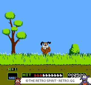 Game screenshot of Duck Hunt