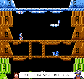 Game screenshot of Ice Climber