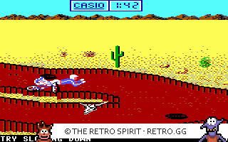 Game screenshot of California Games