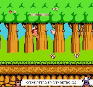 Game screenshot of Adventure Island