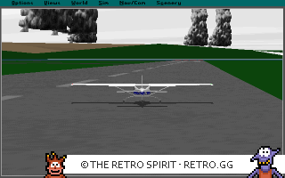 Game screenshot of Microsoft Flight Simulator 5.0