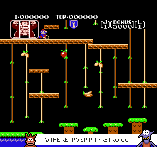Game screenshot of Donkey Kong Jr.
