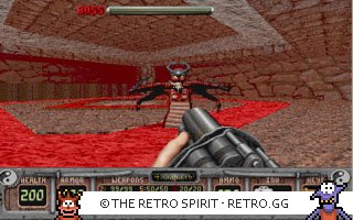 Game screenshot of Shadow Warrior