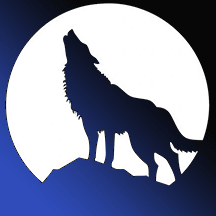 Nocturn's avatar