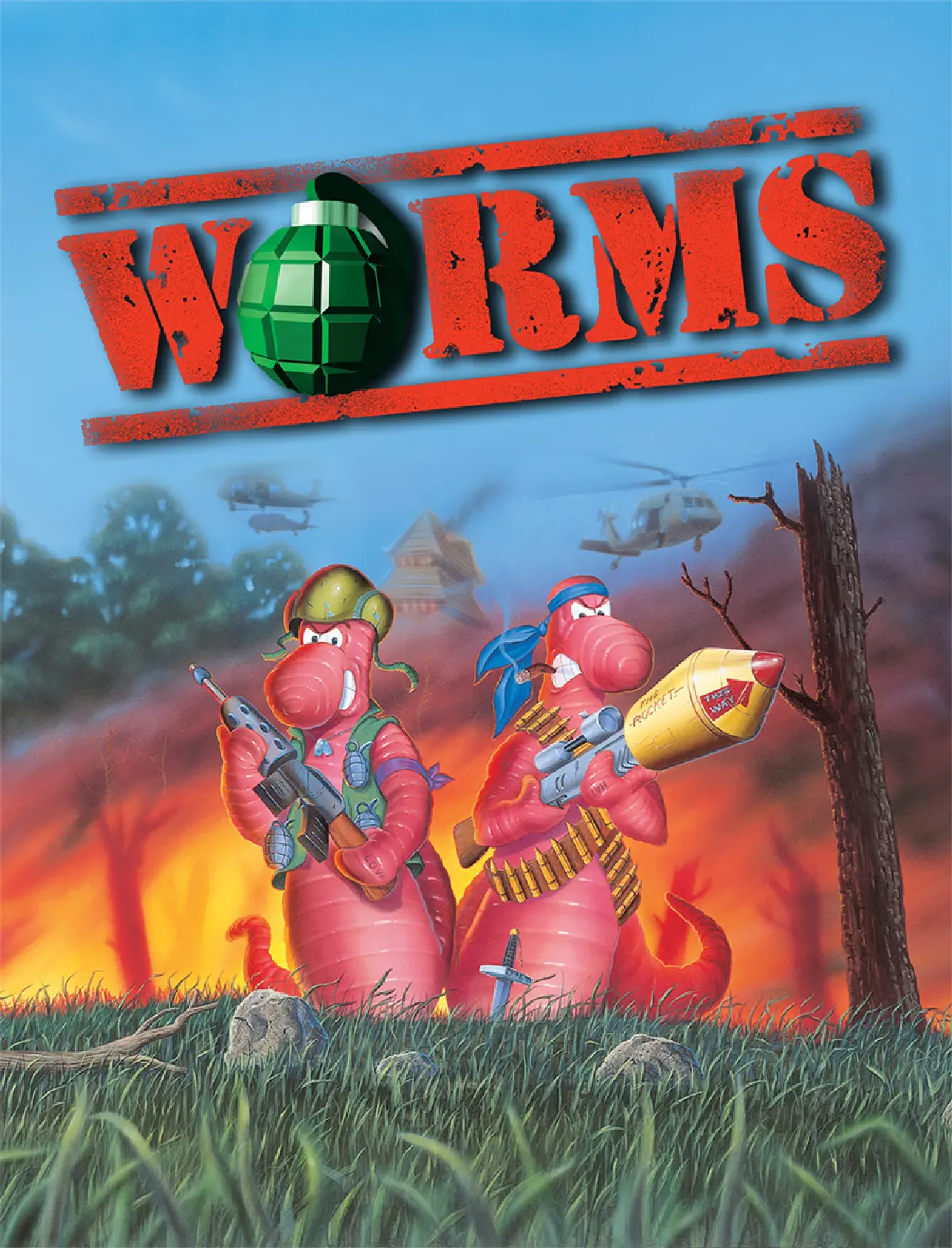 Game cover for Worms